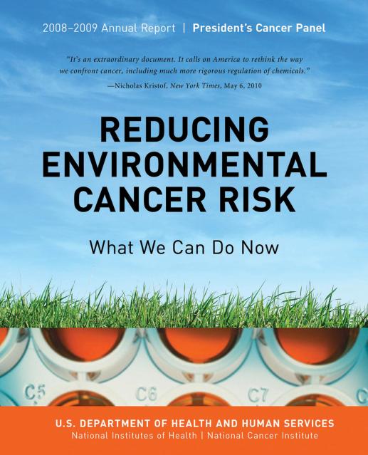 Reducing Environmental Cancer Risk: What We Can Do Now