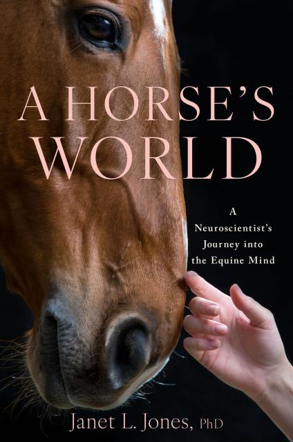 A Horse’s World