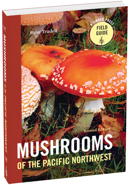 Mushrooms of the Pacific Northwest