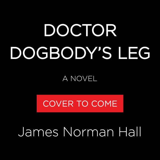 Doctor Dogbody’s Leg