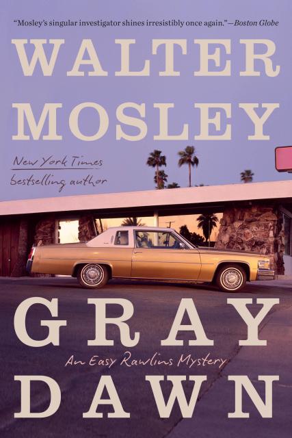 Gray Dawn